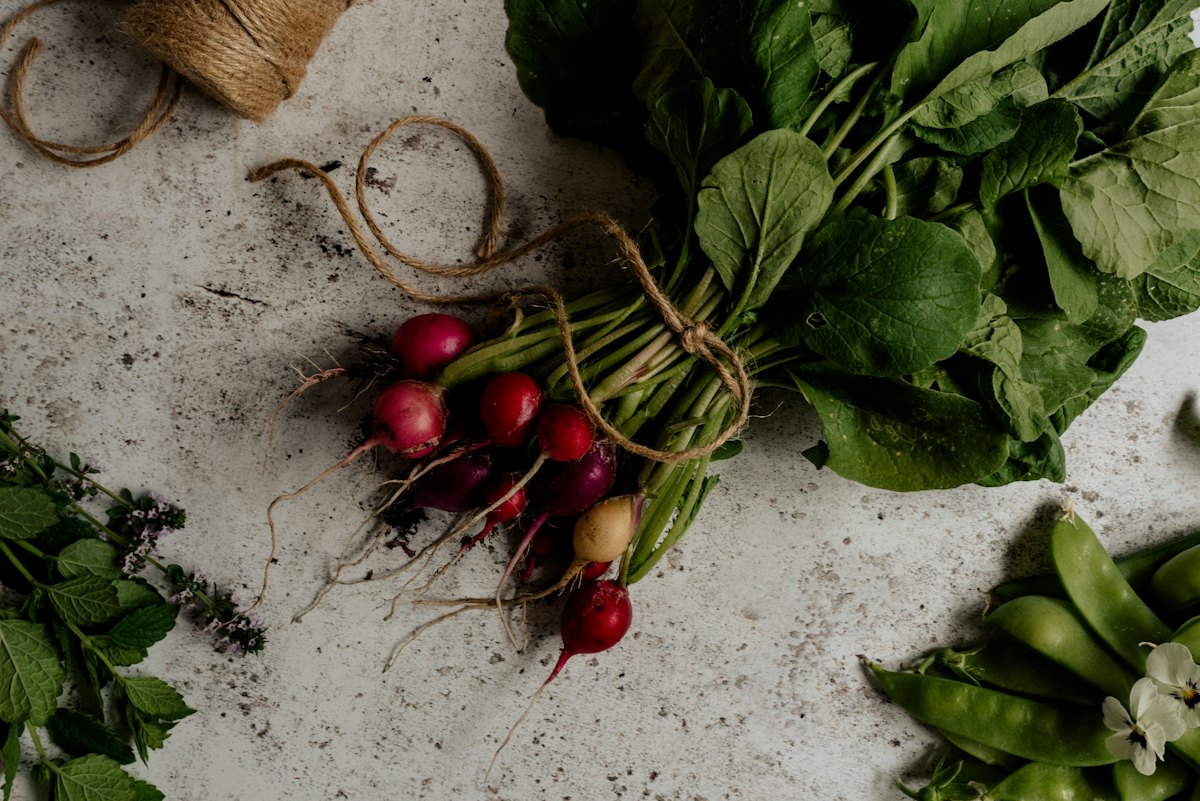 Radis, pois gourmands et menthe fraîche : la nutrition, premier pilier de votre napsothérapeute à Lyon.